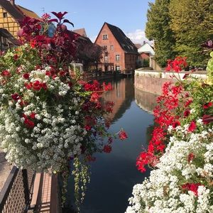 Meet your Posher, David